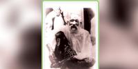 Molana Taj Mahmood Shah Amroti