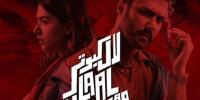 Laal Kabootar