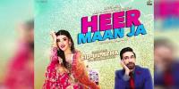 Pakistan Film Industry
