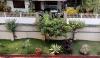 Garden In Home