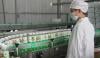 China Dairy Giants Look To South East Asia