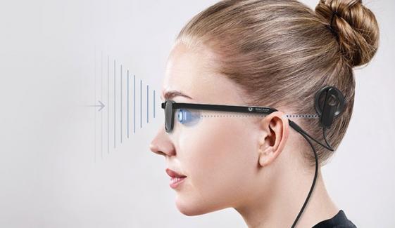 Bionic Vision Technologies