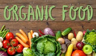 Organic Food