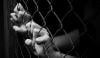 Human Trafficking