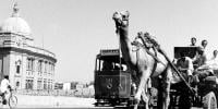 Tram In Karachi