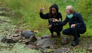 Career In Environmental Science