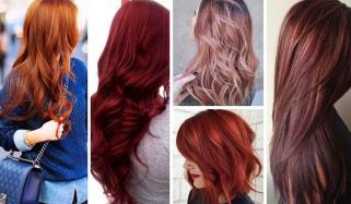 Hair Colors