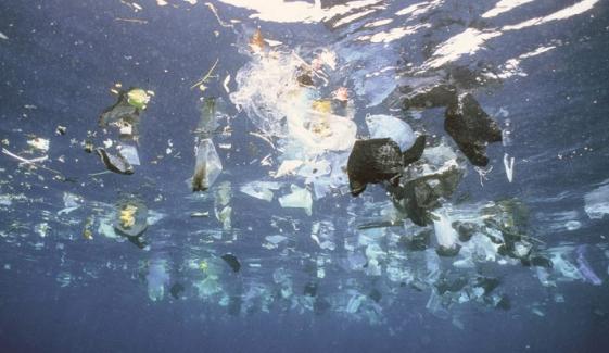 Plastic In Sea