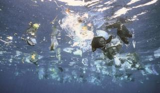 Plastic In Sea