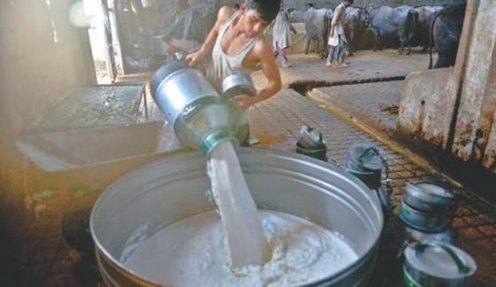 Adulteration In Food Items