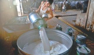 Adulteration In Food Items