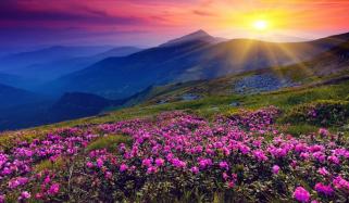 Urdu Poetry