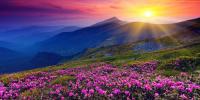 Urdu Poetry