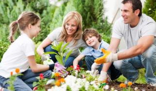 Gardening