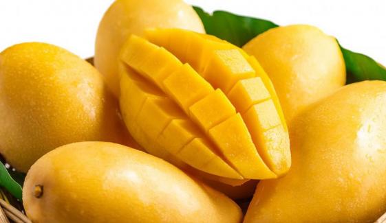 Mango Season