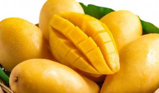 Mango Season