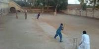 Cricket Match