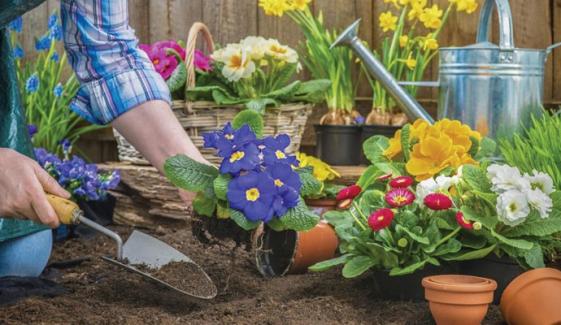 Gardening