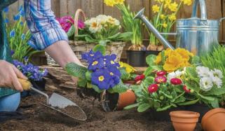 Gardening