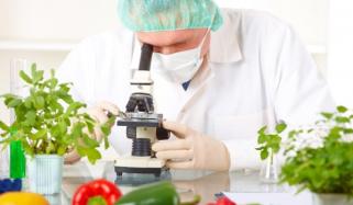 Career In Food Science And Technology