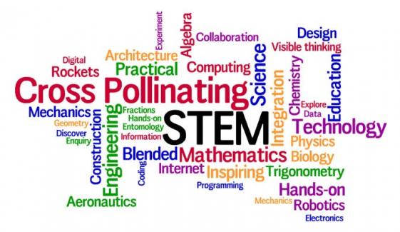 Importance Of Stem