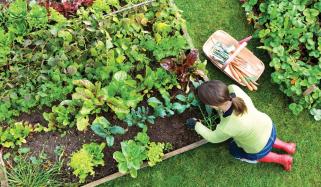 Benefits Of Gardening