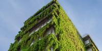 Future Is Green Buildings