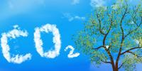 Carbon Dioxide