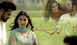 Bin Roye Ansoo