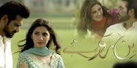 Bin Roye Ansoo