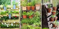 Gardening At Home