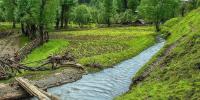 Kashmir