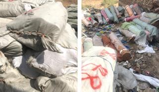 Department Of Customs Takes Action