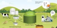 Biogas