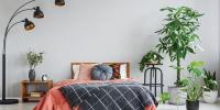 Plants For The Bedroom