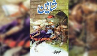 Urdu Novel