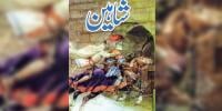 Urdu Novel