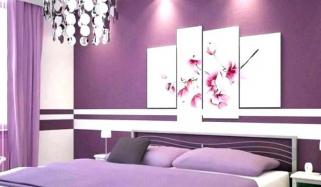 Wall Paint Colours