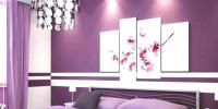 Wall Paint Colours