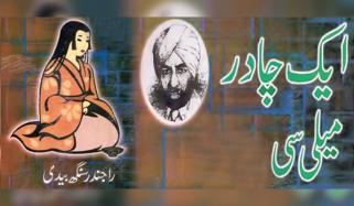 Urdu Novel
