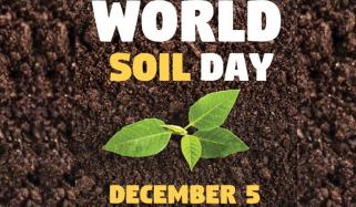 World Soil Day