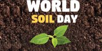 World Soil Day