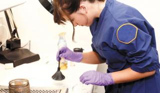 Career In Criminology