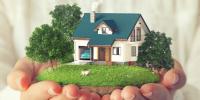 Green Material