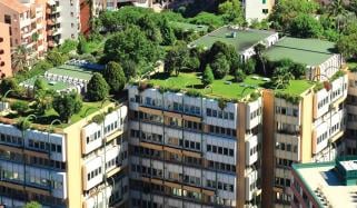 Garden At Roof