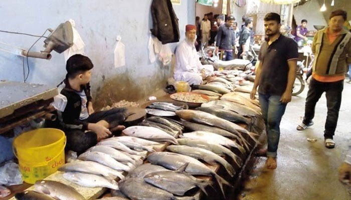 ’موسٰی کالونی‘ یہاں قدیم اور بڑا مچھلی بازار گزشتہ 50 سال سے قائم ہے
