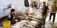 Mosa Colony Fish Market Karachi