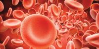 Blood Cells