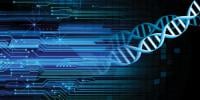 Scientists Hack A Computer Using Dna