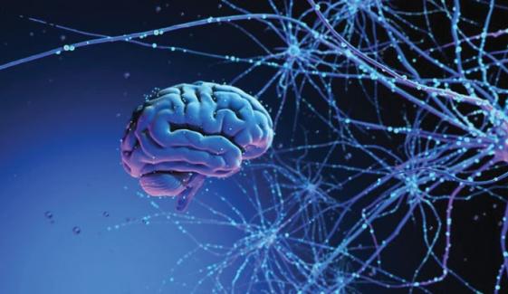 How Memory Works